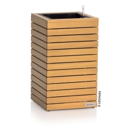 Vaso LECHUZA PALO High in legno di Eucalipto FSC®