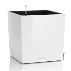 Vaso LECHUZA CUBE Premium