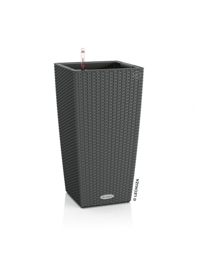 Vaso LECHUZA CUBICO Cottage