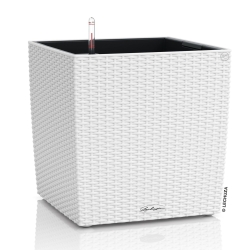 Vaso LECHUZA CUBE Cottage