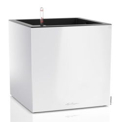 Vaso LECHUZA CANTO Premium Low