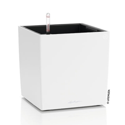 Vaso LECHUZA CUBE Color