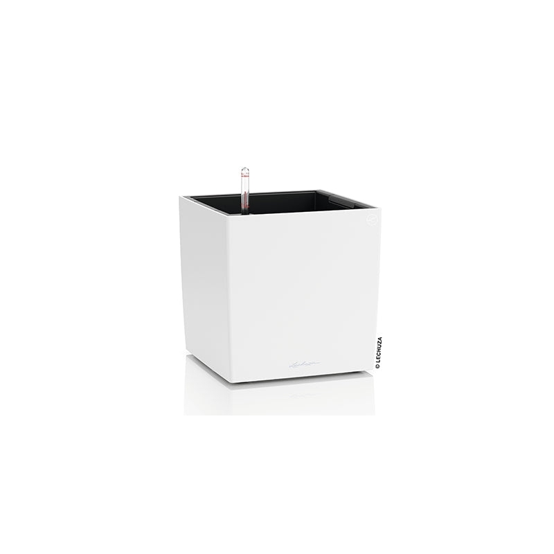Vaso LECHUZA CUBE Color