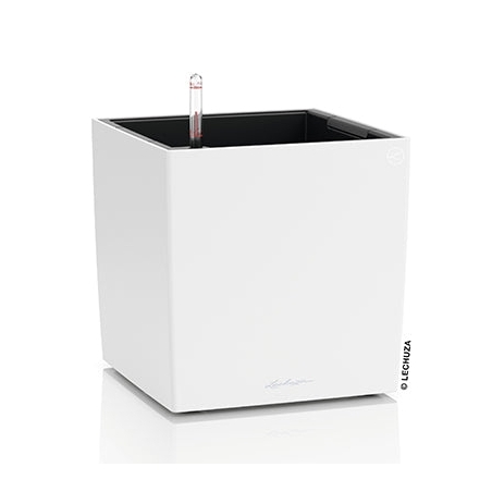 Vaso LECHUZA CUBE Color