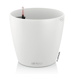 Vaso LECHUZA CLASSICO Color - in offerta