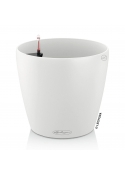 Vaso LECHUZA CLASSICO Color - in offerta