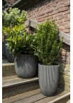 Vaso Capi Nature Groove NL Ball Planter