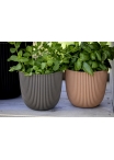 Vaso Capi Made With Ball Planter