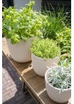 Vaso Capi Made With Ball Planter