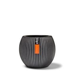 Vaso Capi Vase Ball Groove