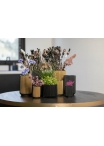 Vaso Capi Vase High Groove Black