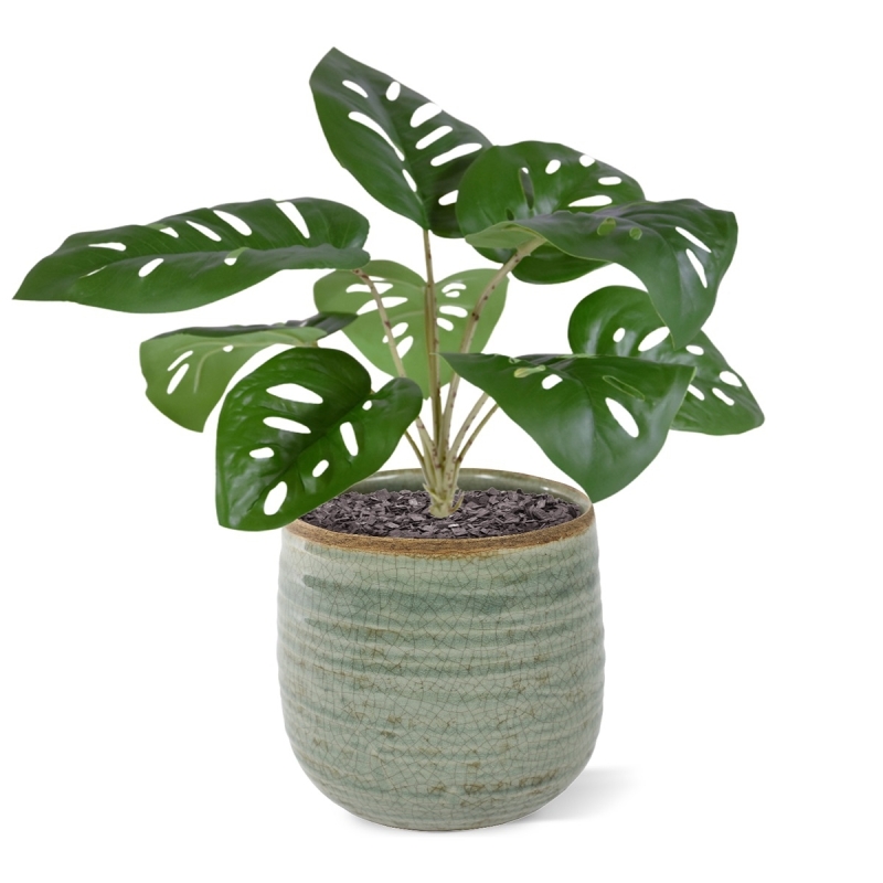 Monstera Adonsonii artificiel bouquet 30cm