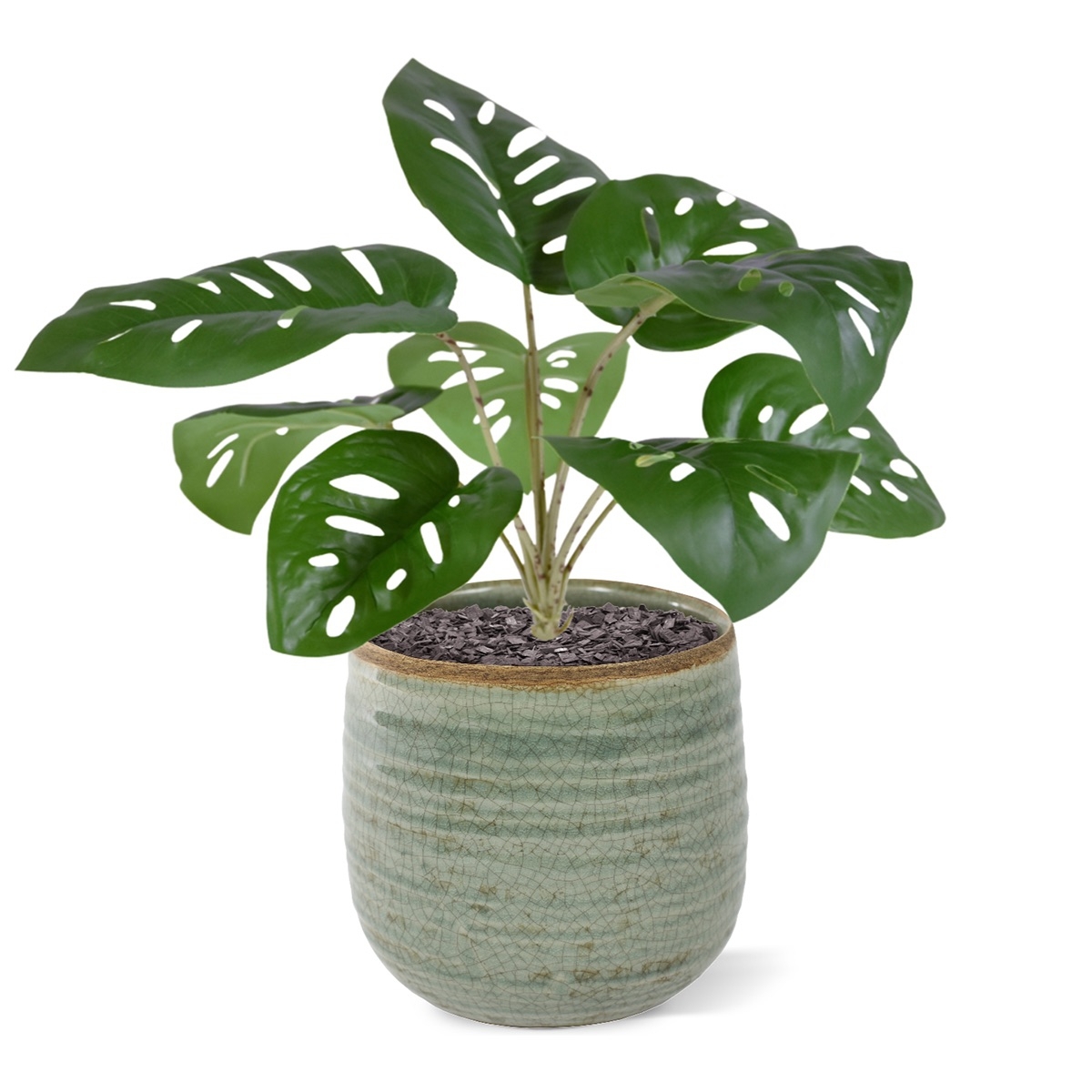 Monstera Adonsonii artificiel bouquet 30cm