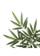 Bamboo • Ramo Artificiale con 55 foglie • Verde • FR • H. 75 cm