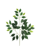 Ficus &bull; Ramo Artificiale con 55 foglie &bull; Verde &bull; FR &bull; H. 55 cm