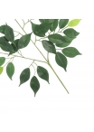 Ficus • Ramo Artificiale con 55 foglie • Verde • FR • H. 55 cm
