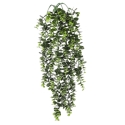 Peperomia • Cespuglio cadente Artificiale • Verde • UVR/FR • H. 66 cm