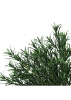 Podocarpus • Cespuglio Artificiale • Verde • UVR/FR • H. 40 cm