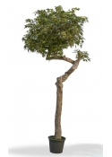 Acero artificiale Autunnale, 275 cm, Tronco Umbrella