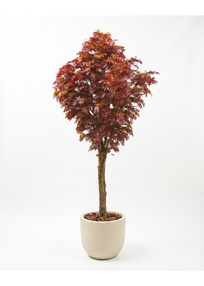Acero artificiale Rosso 400 cm, Tronco Build-up
