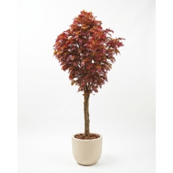 Acero artificiale Rosso 400 cm, Tronco Build-up