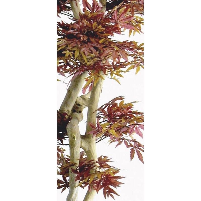 Acero artificiale rosso Tronco Japan, 185 cm