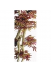 Acero artificiale rosso Tronco Japan, 185 cm