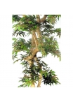 Acero artificiale verde, Tronco Japan, h.185cm