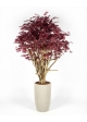 Acero Luxe Seminaturale • Rosso • Tronco Tobago • H. 200/225 cm