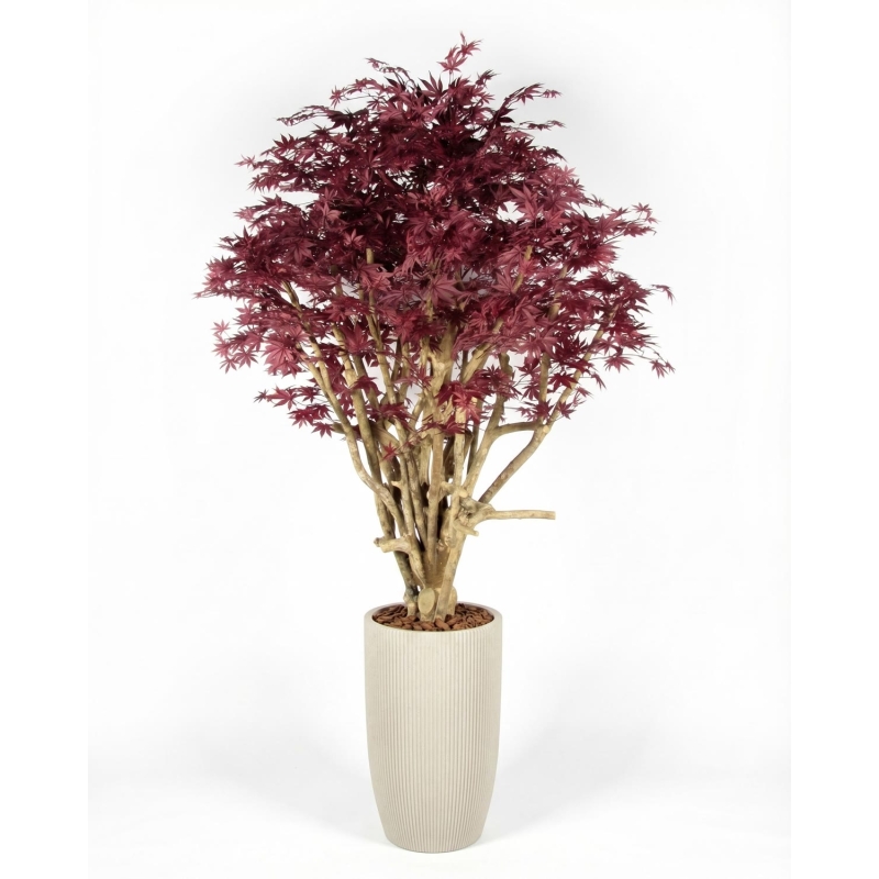 Acero Luxe Seminaturale • Rosso • Tronco Tobago • H. 200/225 cm