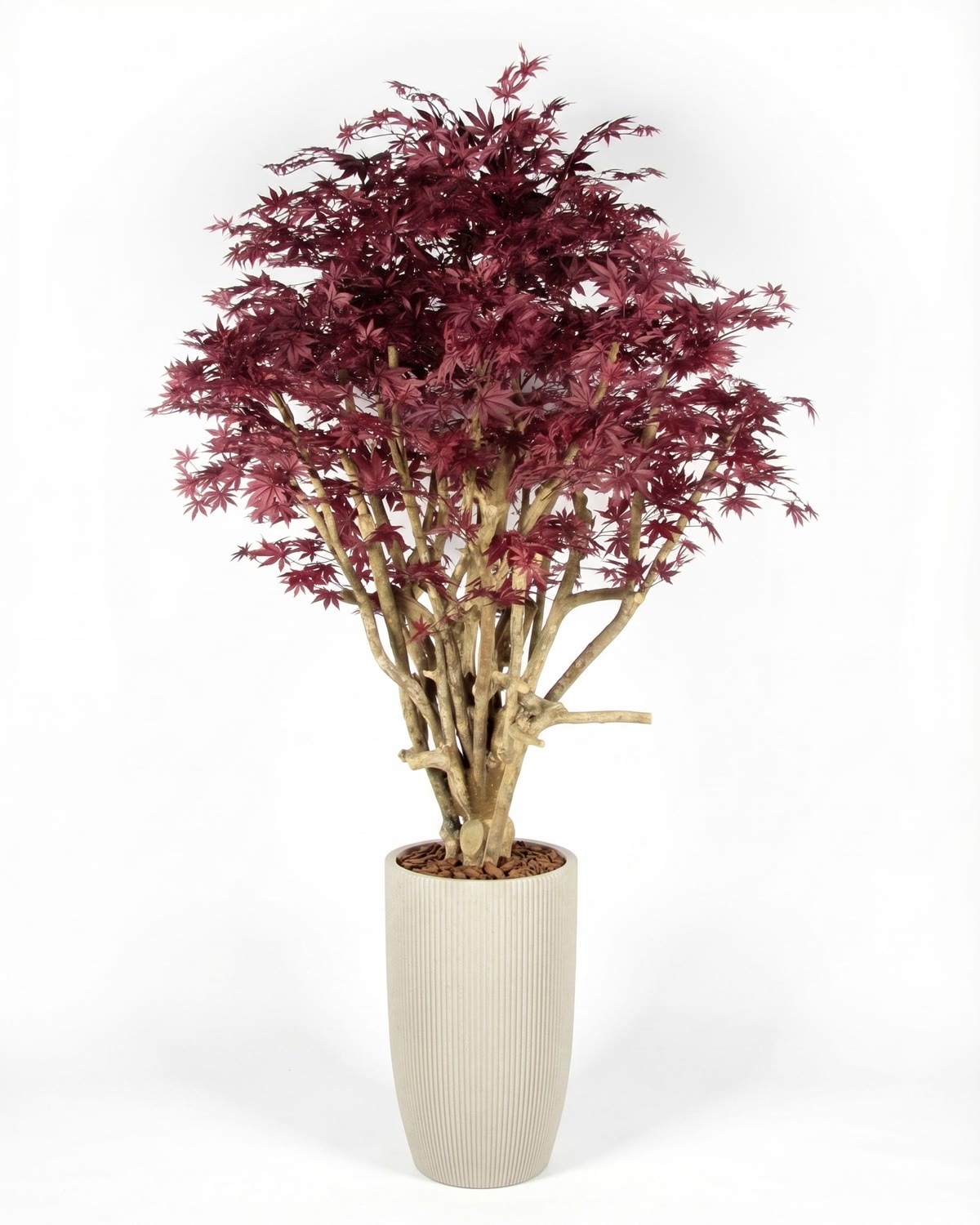 Acero Luxe Seminaturale • Rosso • Tronco Tobago • H. 200/225 cm