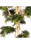 Acero Seminaturale • Verde • Tronco Japan • H. 250 cm