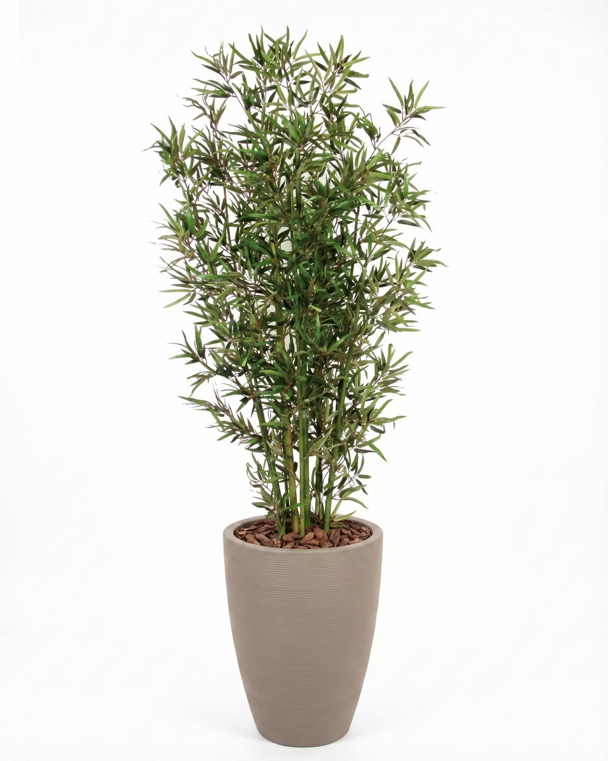 Bamboo Seminaturale • Verde • Tronco Bosco • UVR