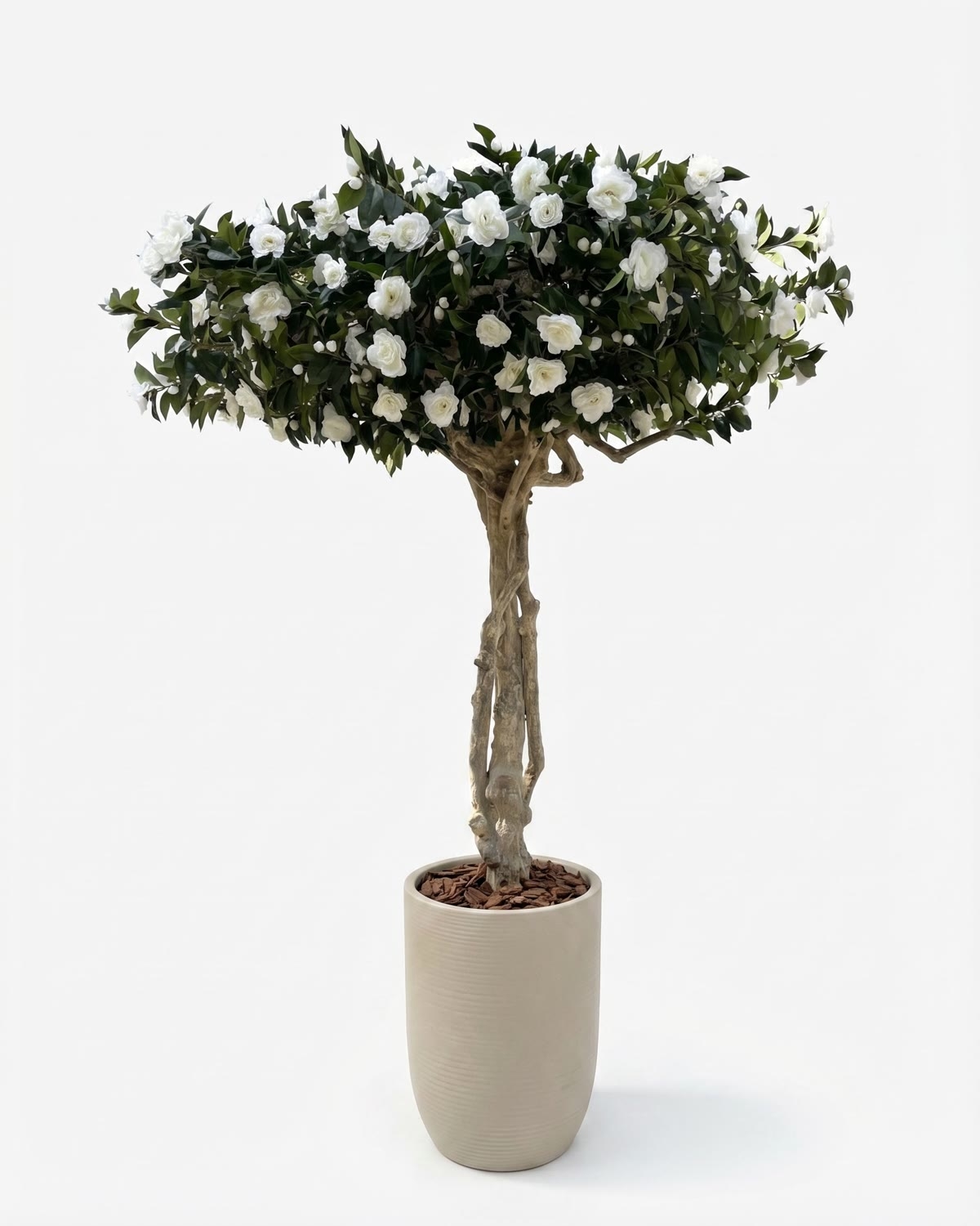 Camelia Luxe Seminaturale • Verde con Fiori Bianchi • Tronco Majestic • H. 275 cm