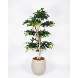 Ficus artificiale Elegance Verde, Tronco Japan