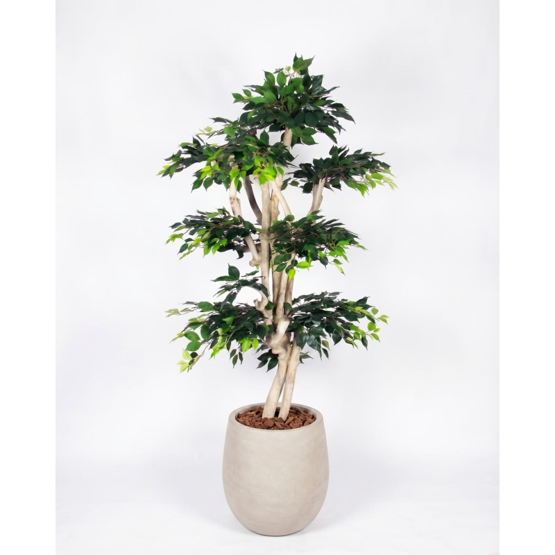 Ficus artificiale Elegance Verde, Tronco Japan