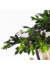 Ficus artificiale Elegance Verde, Tronco Japan