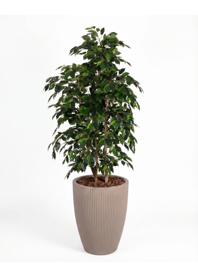 Ficus Artificiale Luxe Small Verde, Tronco Bosco, disponibile in varie altezze