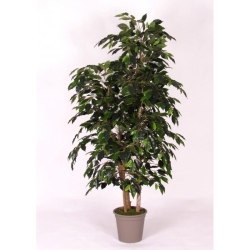 Ficus Artificiale Luxe Small Verde, Tronco Bosco, disponibile in varie altezze
