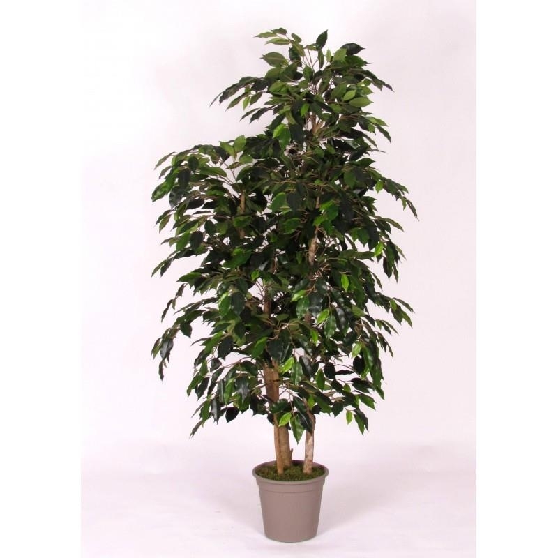 Ficus Artificiale Luxe Small Verde, Tronco Bosco, disponibile in varie altezze
