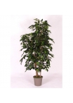 Ficus Artificiale Luxe Small Verde, Tronco Bosco, disponibile in varie altezze