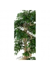 Ficus artificiale Verde, Foglie Mini, Tronco Japan