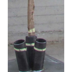 Ficus Elegance Seminaturale • Verde • Tronco Bosco Giant • H. 350 cm
