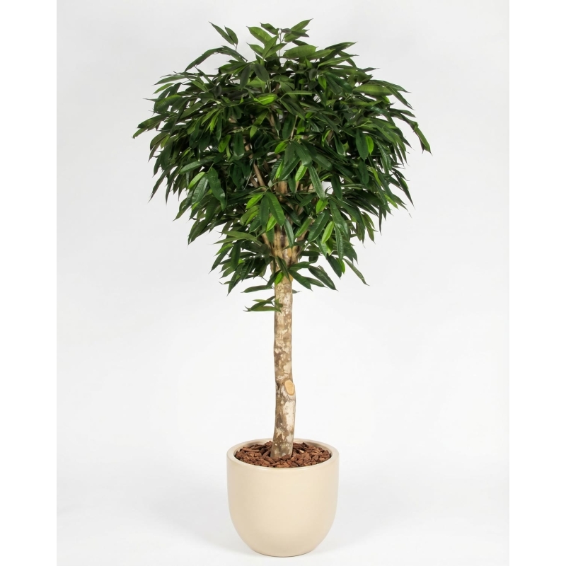 Ficus Longifolia artificiale Tronco Gigantea- Verdevip