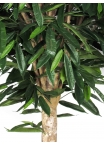 Ficus Longifolia artificiale Tronco Gigantea- Verdevip