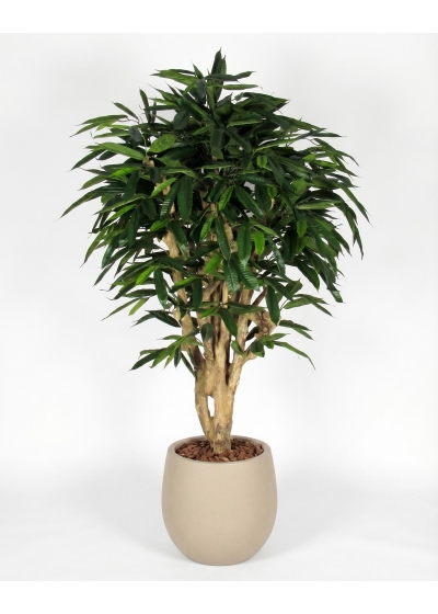 Ficus Longifolia artificiale tronco Mediterraneo