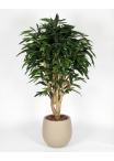 Ficus Longifolia artificiale tronco Mediterraneo