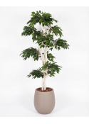 Ficus Luxe Seminaturale &bull; Verde &bull; Tronco Japan &bull; H. 185 cm