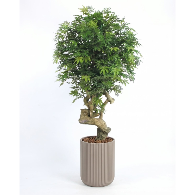 Acero Seminaturale • Verde • Tronco Jamaica • H. 200 cm