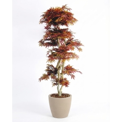 Acero artificiale rosso Tronco Japan, 185 cm